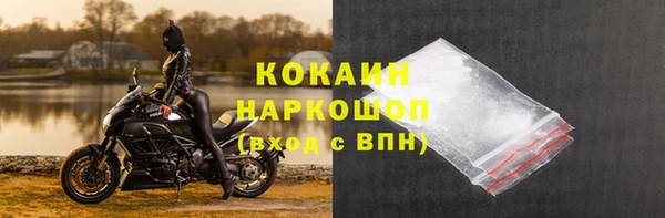 крисы Алзамай