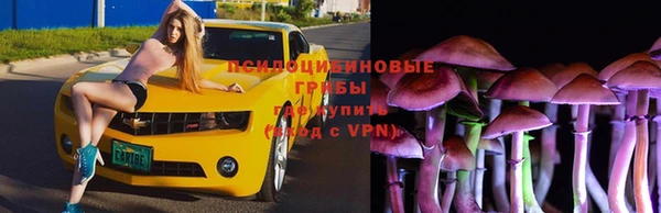 спайс Алексин