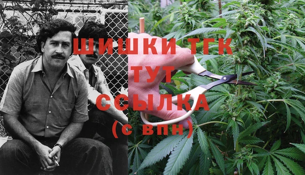 ешки Протвино
