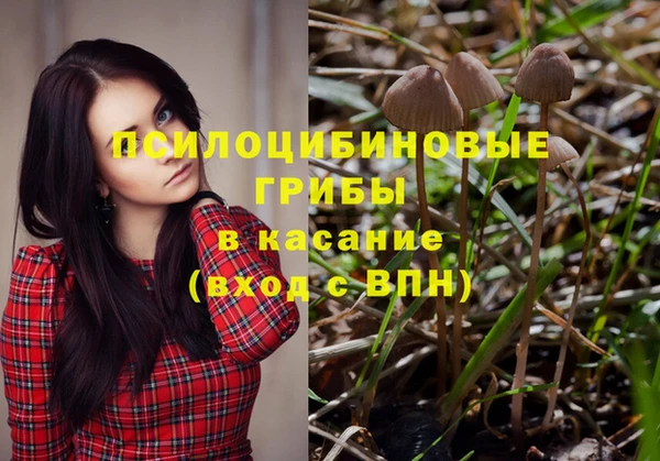 ПСИЛОЦИБИНОВЫЕ ГРИБЫ Покачи