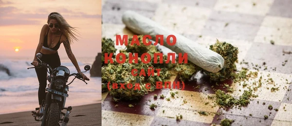 крисы Алзамай